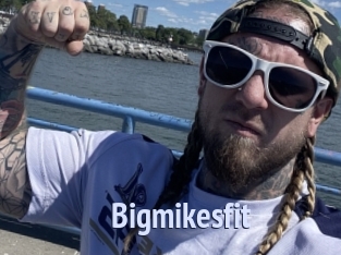 Bigmikesfit