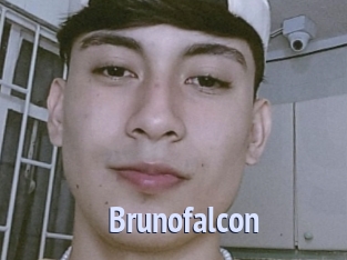 Brunofalcon