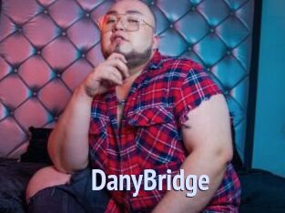 DanyBridge