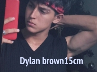 Dylan_brown15cm