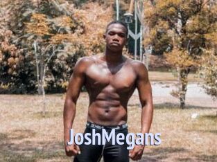 JoshMegans