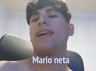 Mario_neta