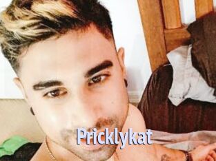 Pricklykat