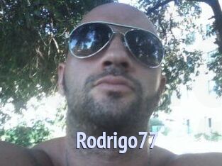 Rodrigo77